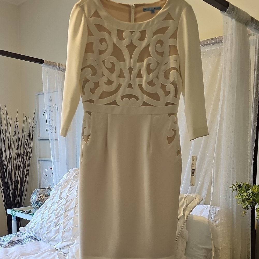 Elegant Cream Dress